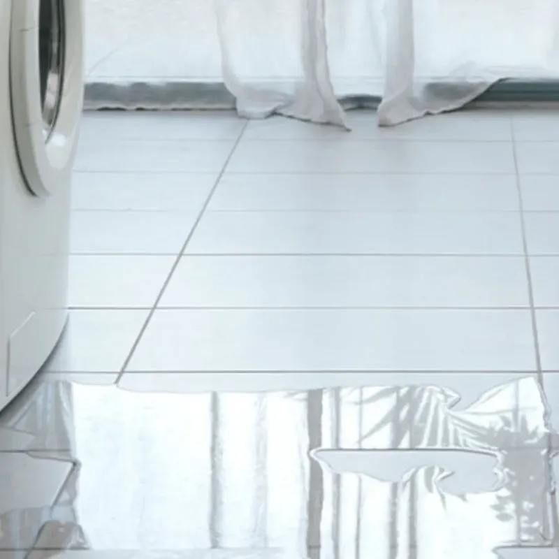 Appliance Leak Cleanup in Washington County, ID