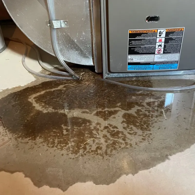 Pipe Burst and Leak Restoration in Washington County, ID